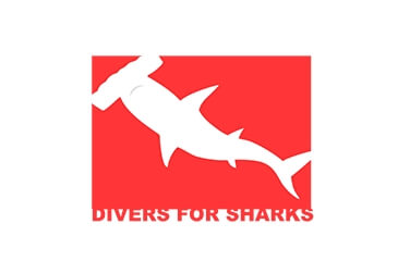 Kamus - cliente produto cliente recorrente divers for sharks