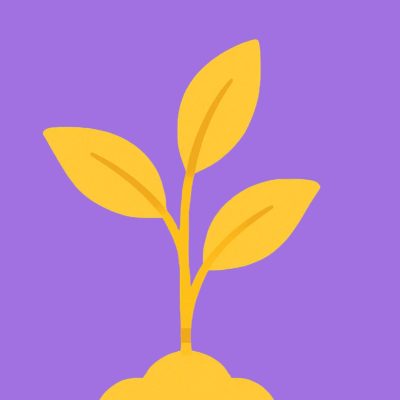 imagem-destacada-conteudo-evergreen-a-importancia-de-conteudos-que-sempre-geram-valor